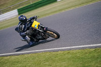 Middle Group Black Bikes